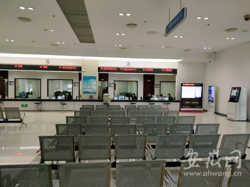 虎年開工首日探訪 安徽省政務服務中心窗口人員堅守崗位，熱情服務暖人心
